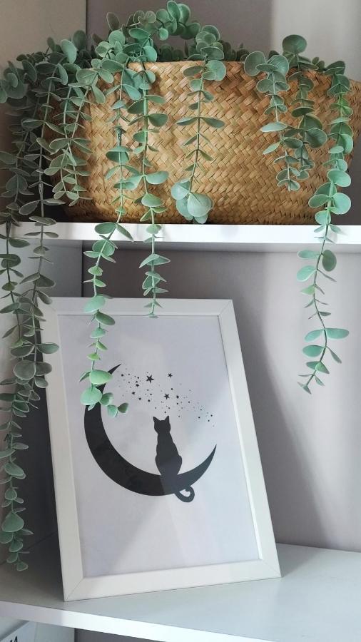 Apartamento Markesa Plasencia Esterno foto